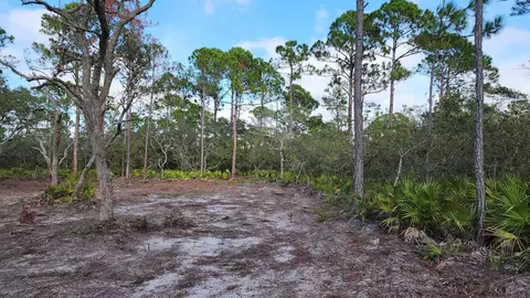 tbd Yates Creek Rd #2, Keaton Beach, FL 32348 photo 8