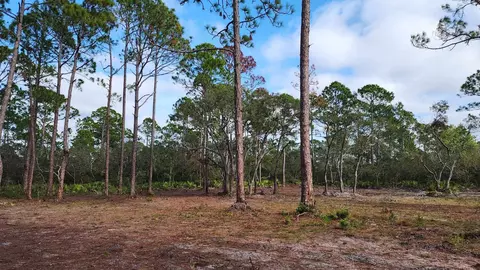 tbd Yates Creek Rd #2, Keaton Beach, FL 32348 photo 10