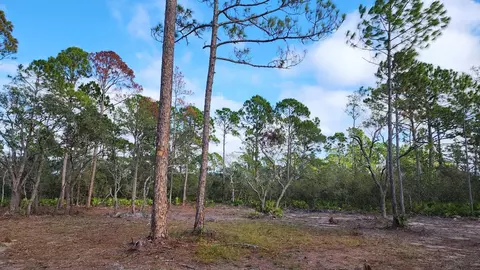 tbd Yates Creek Rd #2, Keaton Beach, FL 32348 photo 9