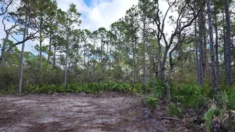 tbd Yates Creek Rd #2, Keaton Beach, FL 32348 photo 12