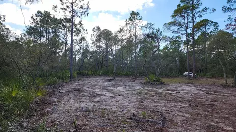 tbd Yates Creek Rd #2, Keaton Beach, FL 32348 photo 5