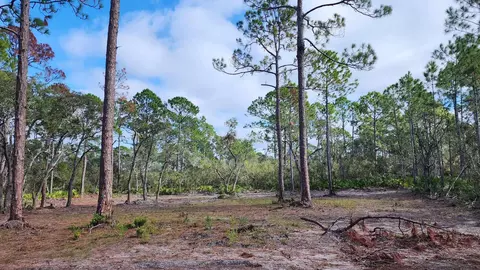 tbd Yates Creek Rd #2, Keaton Beach, FL 32348 photo 11