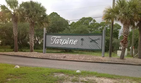 Nnn Tarpine Drive, Panacea, FL 32346