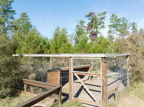 999 NE River Trace Trl, Lee, FL 32059 photo 32
