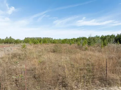 999 NE River Trace Trl, Lee, FL 32059 photo 29