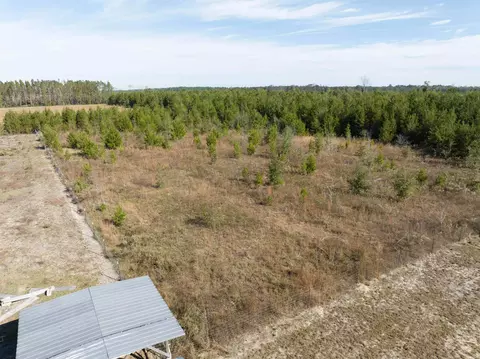 999 NE River Trace Trl, Lee, FL 32059 photo 31