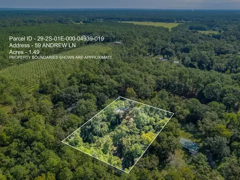 59 Andrew Ln, Crawfordville, FL 32327