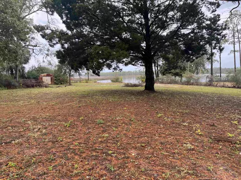 562 River Rd, Carrabelle, FL 32322 photo 3