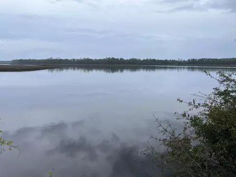 562 River Rd, Carrabelle, FL 32322 photo 8