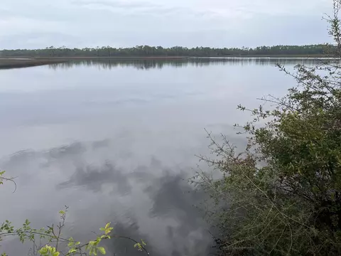 562 River Rd, Carrabelle, FL 32322 photo 9