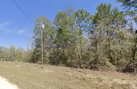 0 Shell Dr, Perry, FL 32348 photo 4