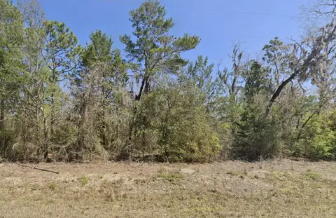 0 Shell Dr, Perry, FL 32348