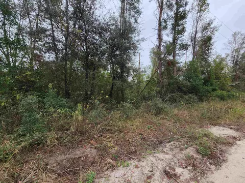 1075 SE Benchmark Dr, Lee, FL 32059 photo 8