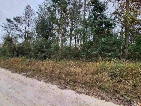 1075 SE Benchmark Dr, Lee, FL 32059 photo 6
