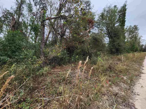 1075 SE Benchmark Dr, Lee, FL 32059 photo 5