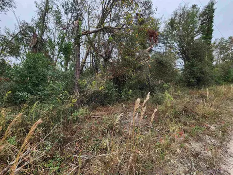 1075 SE Benchmark Dr, Lee, FL 32059 photo 9