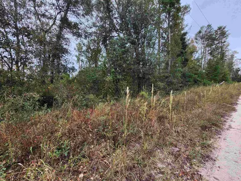 1075 SE Benchmark Dr, Lee, FL 32059 photo 7