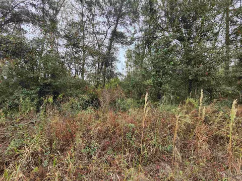 1075 SE Benchmark Dr, Lee, FL 32059 photo 2