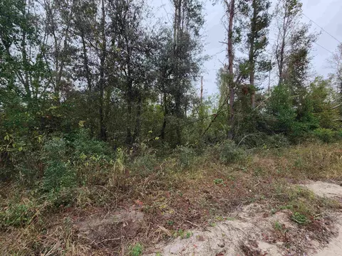 1075 SE Benchmark Dr, Lee, FL 32059 photo 4
