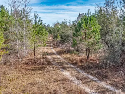 Nnn Roland Harvey, Crawfordville, FL 32327