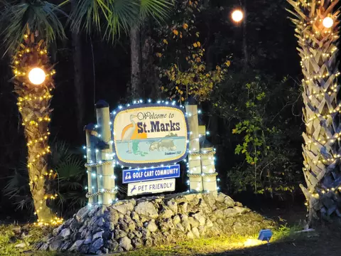 0 4 Ac Ladd Dr, Saint Marks, FL 32355 photo 2