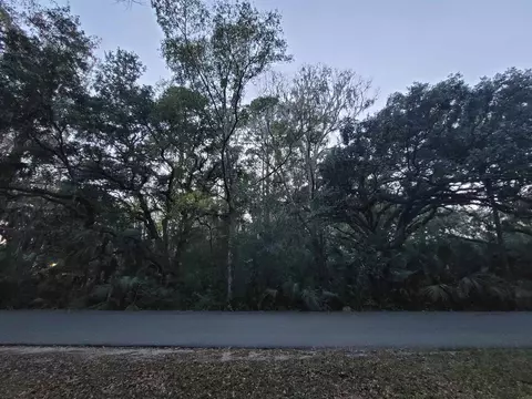 0 4 Ac Ladd Dr, Saint Marks, FL 32355