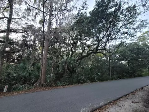 0 4 Ac Ladd Dr, Saint Marks, FL 32355 photo 3