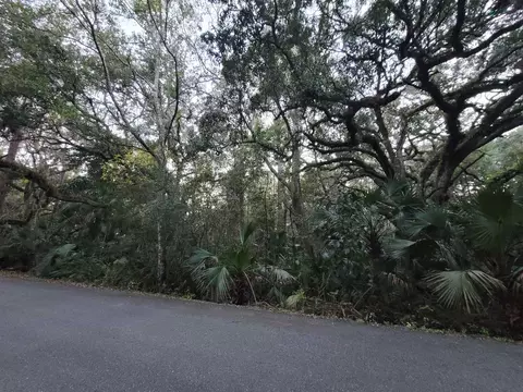0 4 Ac Ladd Dr, Saint Marks, FL 32355 photo 4