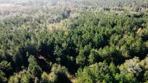 0 Wadesboro Rd, Tallahassee, FL 32317
