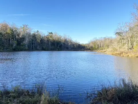 2035 Salley Brown Rd, Quincy, FL 32351