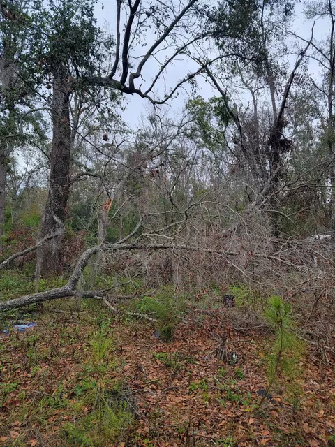 170 Pruitt Dr, Perry, FL 32348 photo 4
