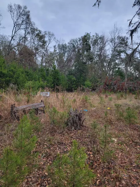 170 Pruitt Dr, Perry, FL 32348 photo 7