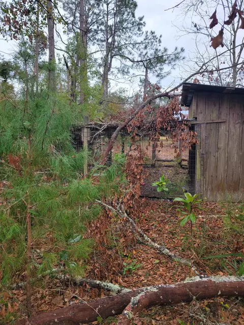 170 Pruitt Dr, Perry, FL 32348 photo 5