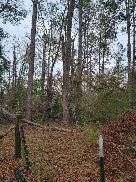 170 Pruitt Dr, Perry, FL 32348 photo 3