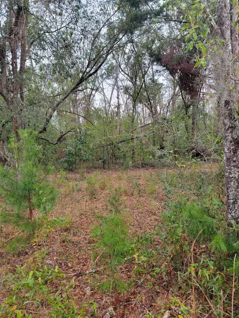 170 Pruitt Dr, Perry, FL 32348 photo 9