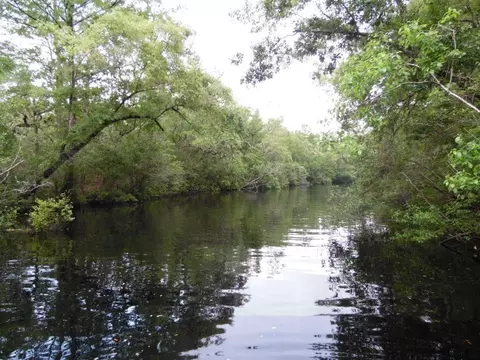 Nnnn Mt Beasor Road, Sopchoppy, FL 32358