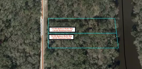 713 NE 733 Ne Madison Bluffs Way, Lee, FL 32059