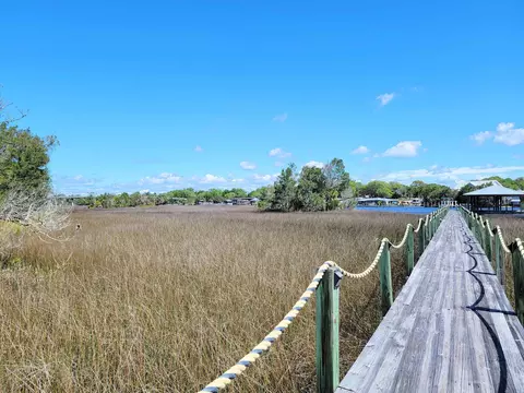 44 SW 877th St, Steinhatchee, FL 32359 photo 39