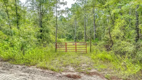 Pullback Road, Sopchoppy, FL 32358 photo 7