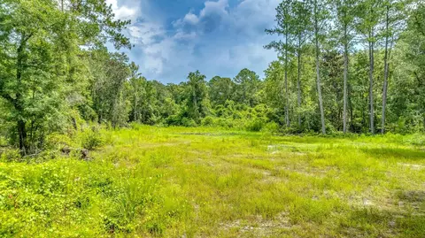Pullback Road, Sopchoppy, FL 32358 photo 9