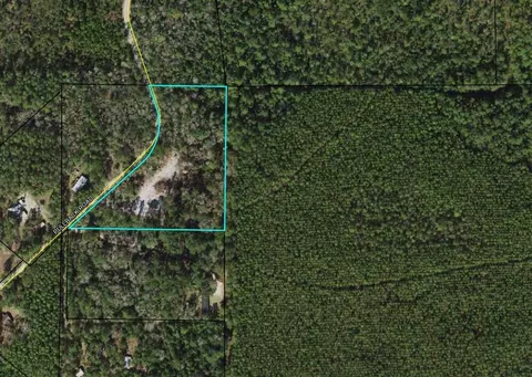 Pullback Road, Sopchoppy, FL 32358 photo 11