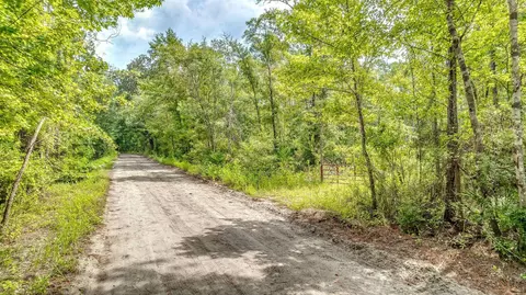 Pullback Road, Sopchoppy, FL 32358 photo 8