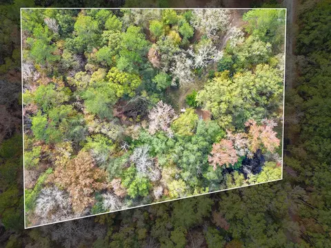 11408 Regiment Loop, Tallahassee, FL 32305