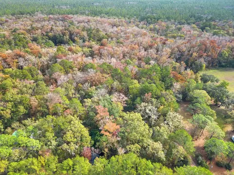 11408 Regiment Loop, Tallahassee, FL 32305 photo 3