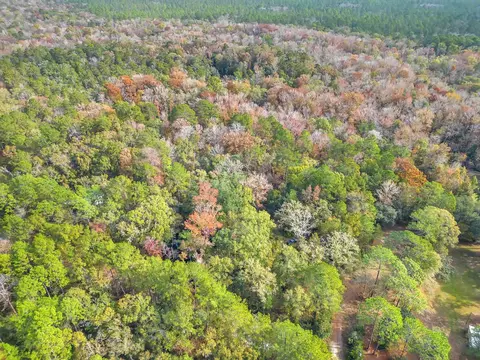 11408 Regiment Loop, Tallahassee, FL 32305 photo 4