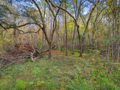 11408 Regiment Loop, Tallahassee, FL 32305 photo 9