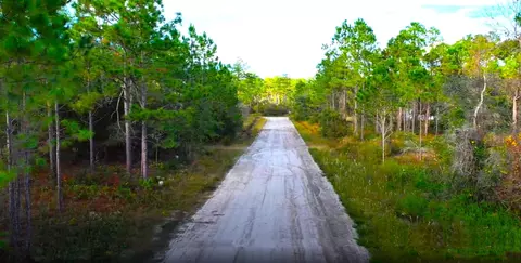 lot1 16 Eighth St, Panacea, FL 32346 photo 8