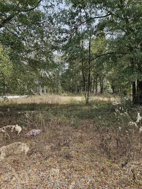 10057 Spring Sink Rd, Tallahassee, FL 32305