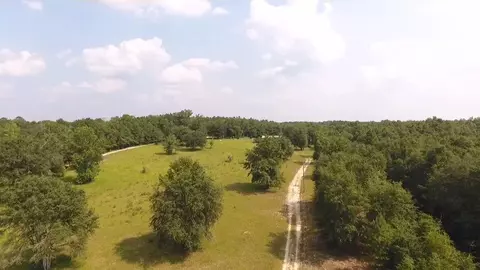 2312 Hartsfield Rd, Monticello, FL 32343