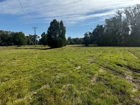 Vacant NW Coachwhip, Madison County, FL 32340